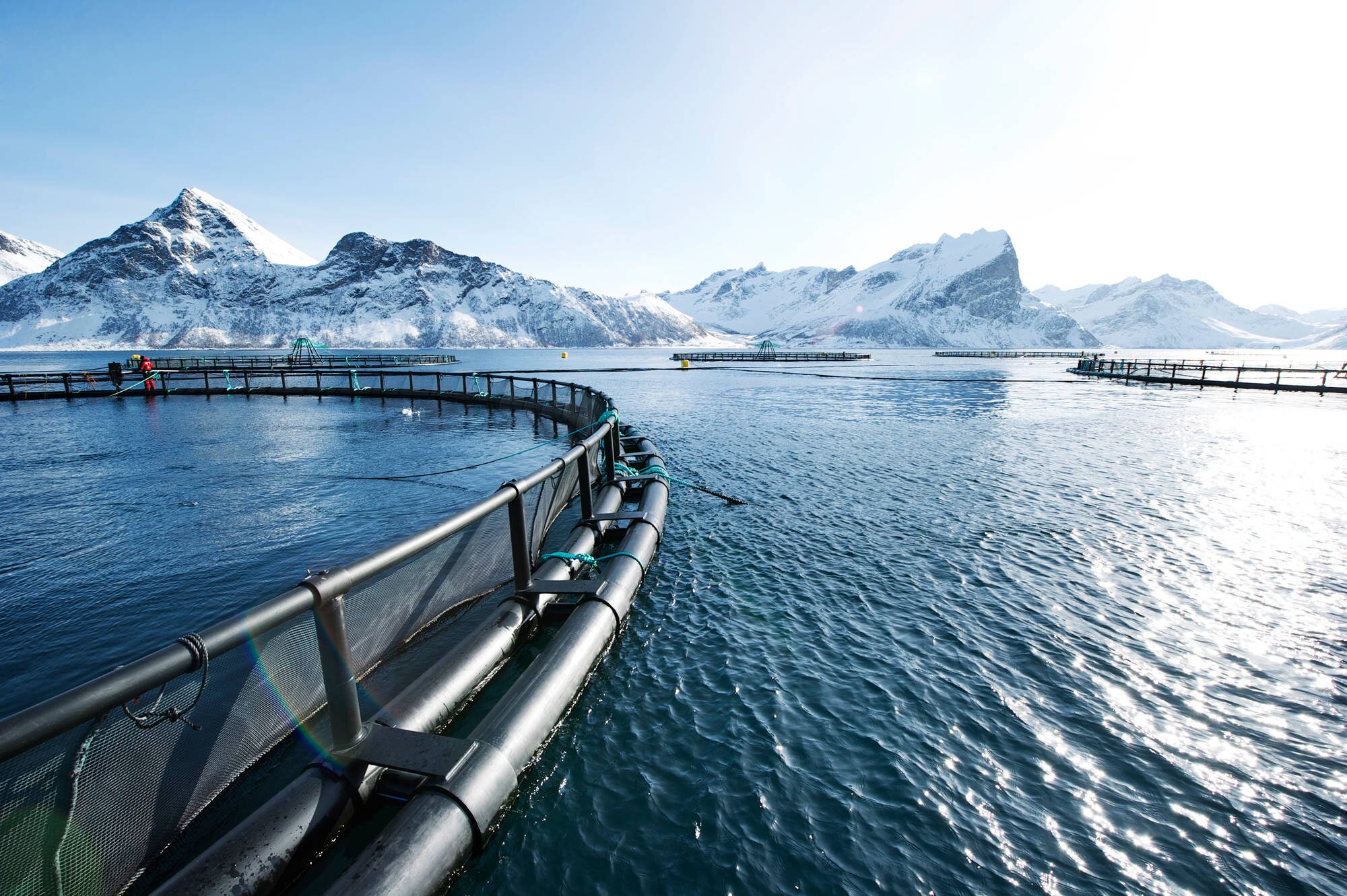 Fish farms surrounded by snowcapped mountains.