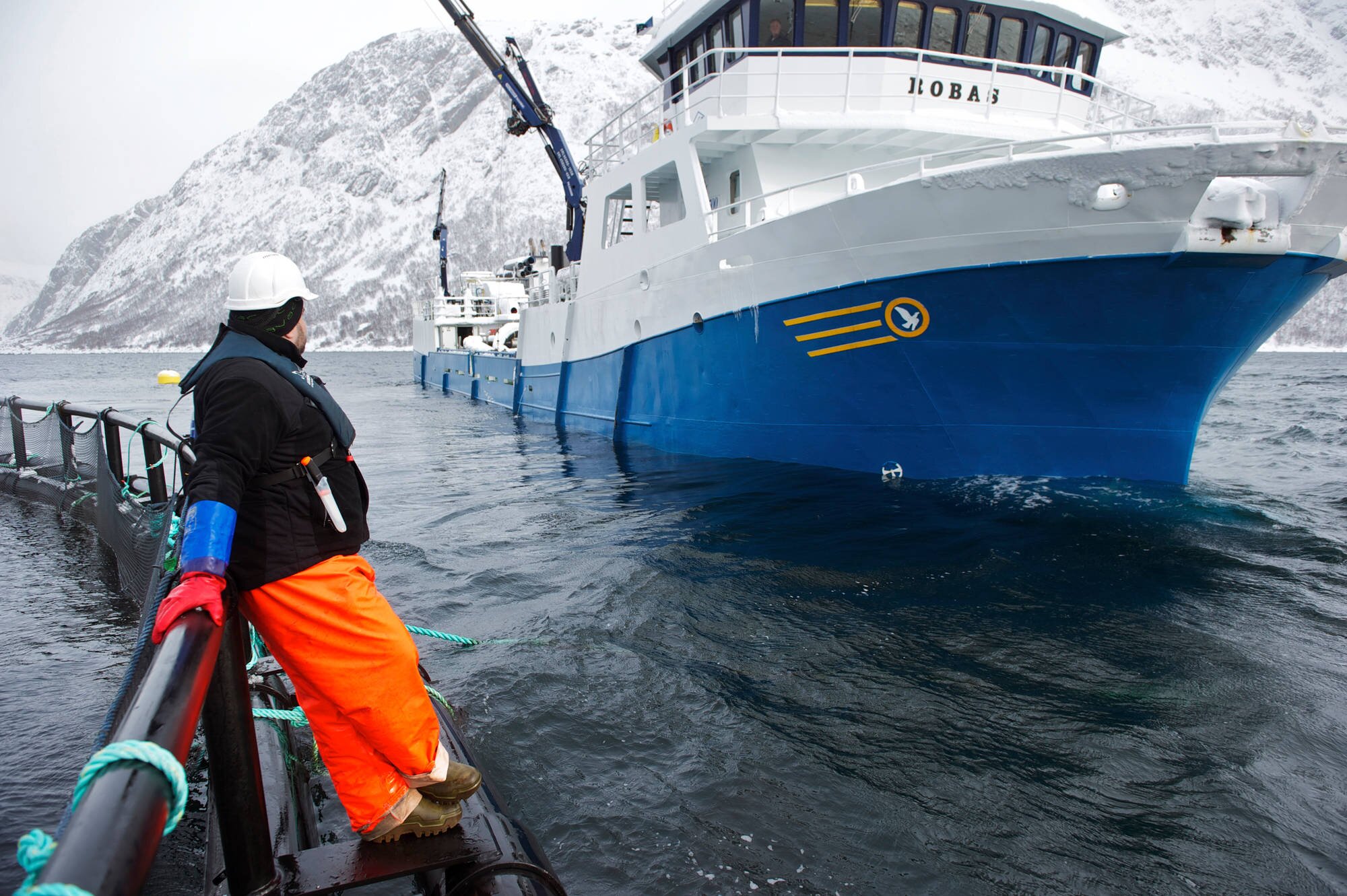 A blue wellboat beside a fishcage