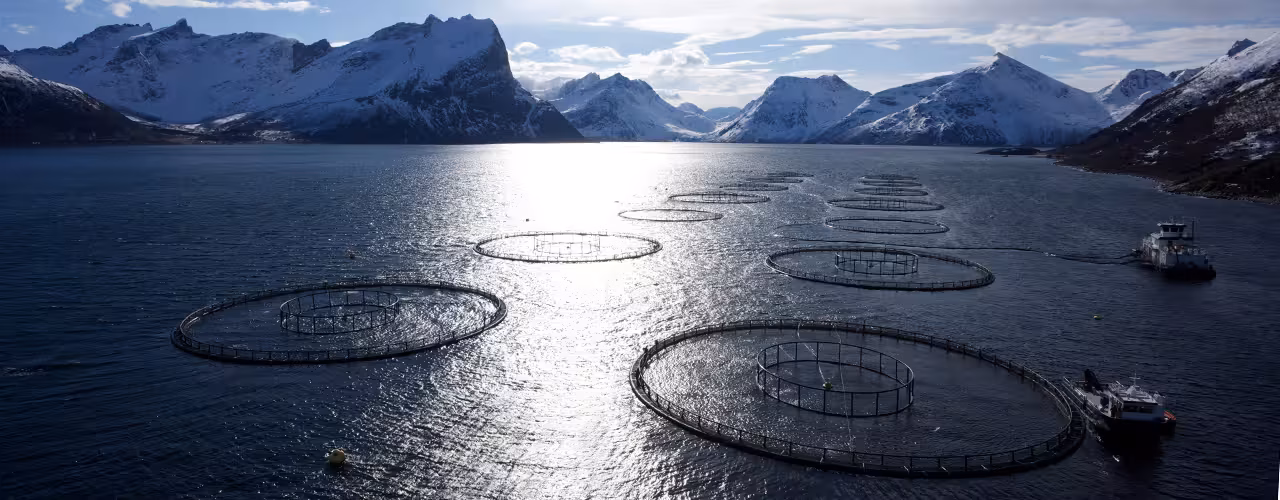 fishing cages in a fjord fishing cages in a fjord