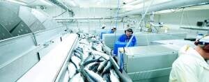 salmon proceccing plant salmon proceccing plant